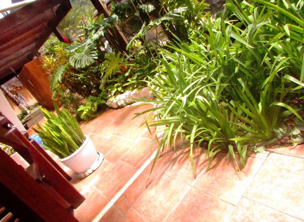 Pousada Flor De Lis Ilha Grande  エクステリア 写真