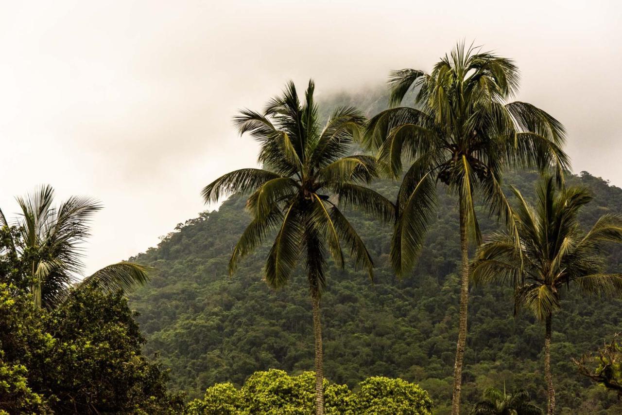 Pousada Flor De Lis Ilha Grande  エクステリア 写真